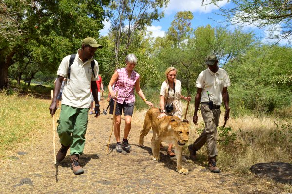 Lüks severlerin Afrika macerası: Mauritius